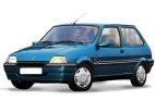 Catalizador Rover Metro 1990-1995