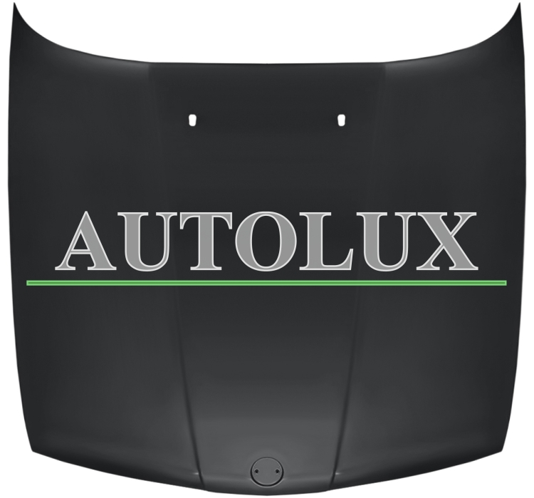 Capo bmw serie 5 e34 1987-1994 delantero.  Referencia OE:41611944583