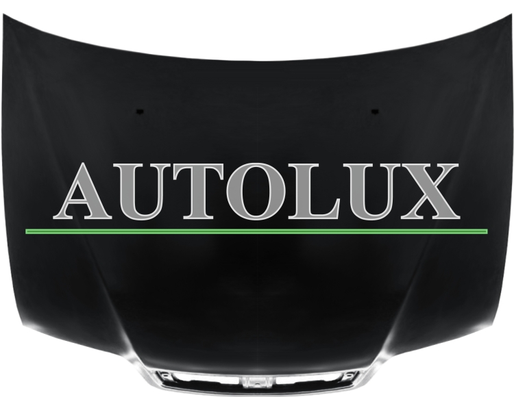 Capo fiat palio / palio weekend 2002-2005 delantero.  Referencia OE:46838158