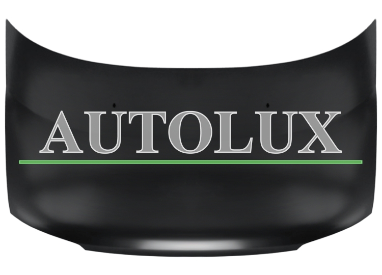 Capo hyundai matrix 2006-2009 delantero.  Referencia OE:6640017000