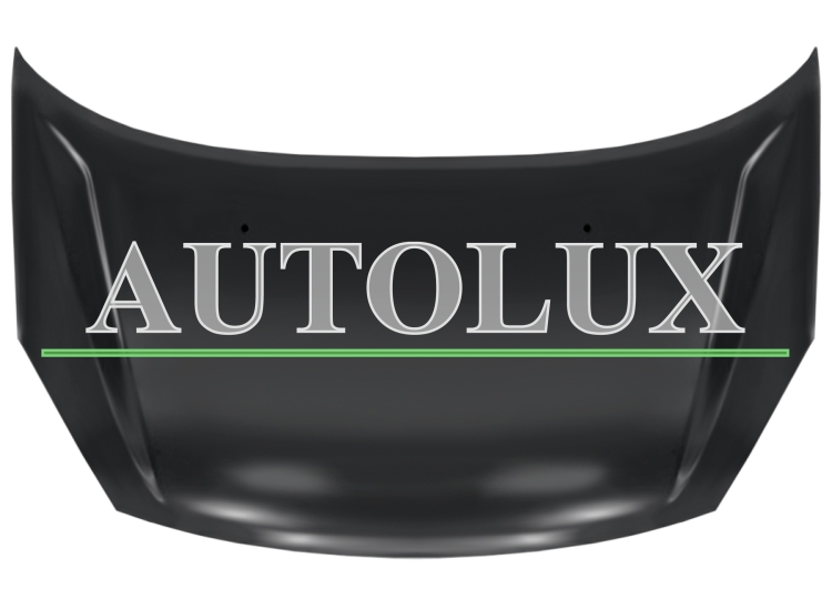 Capo hyundai matrix 2009-2011 delantero.  Referencia OE:6640010020