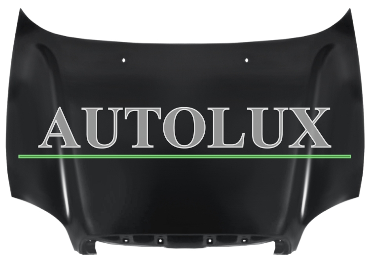 Capo hyundai santa fe 2000-2006 delantero / motor diesel.  Referencia OE:6640026074