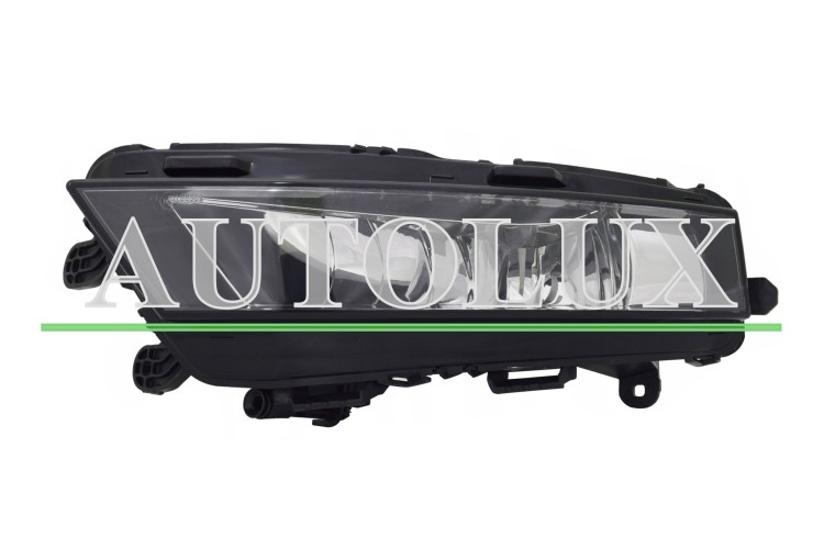 503302I.jpg
