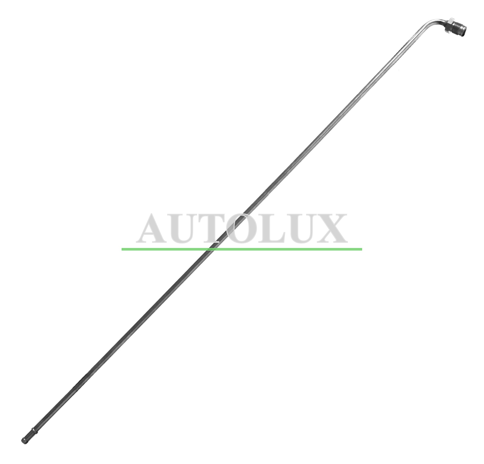 PP31037A.jpg