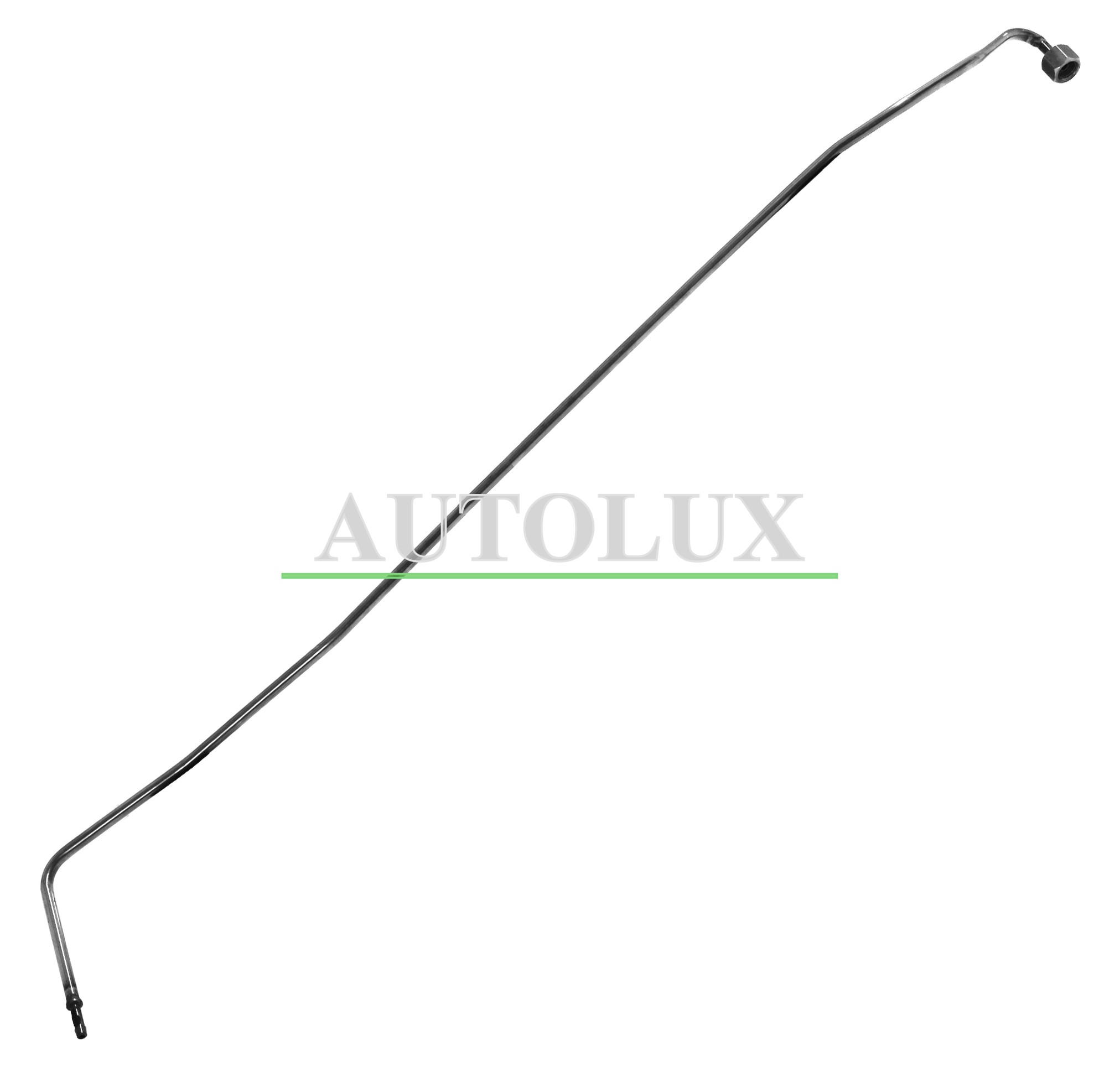 PP31038A.jpg