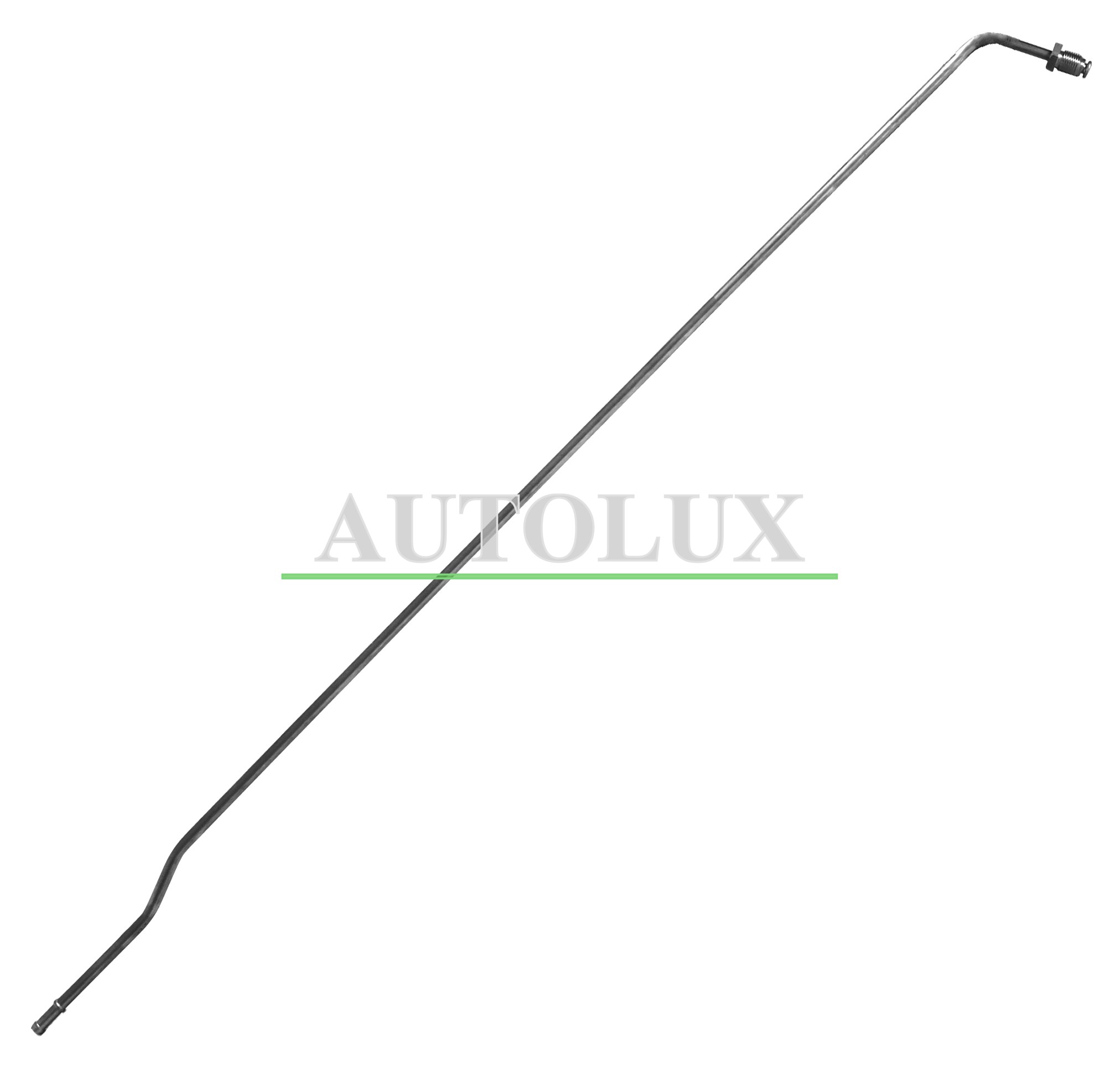 PP31042A.jpg