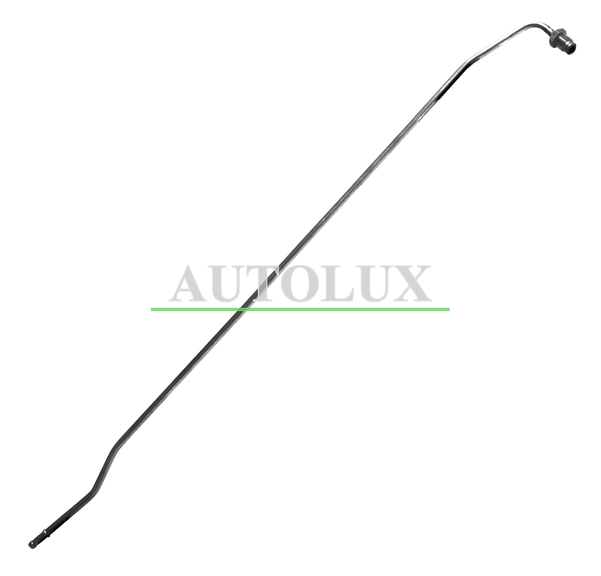 PP31129A.jpg