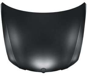 CAPO BMW SERIE 3 (E90-E91) 2005-2009 DELANTERO