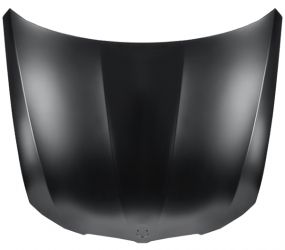 CAPO BMW SERIE 3 (E90-E91) 2009-2012 DELANTERO