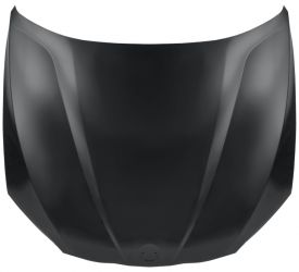 CAPO BMW X1 (E84) 2009-2012 DELANTERO