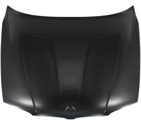CAPO BMW X3 (E83) 2004-2006 DELANTERO