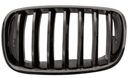 REJILLA BMW X6 (E71-E72) 2007-2014 FRENTE / MARCO NEGRO / LAMAS NEGRAS / IZQUIERDA