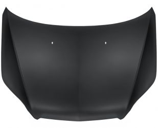 CAPO CHEVROLET AVEO 2009-2011 DELANTERO
