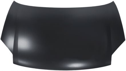 CAPO CITROEN BERLINGO 2003-2008 DELANTERO