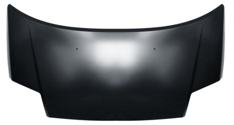 CAPO CITROEN C2 2003-2008 DELANTERO