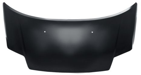 CAPO DELANTERO CITROEN C2 2008-2010