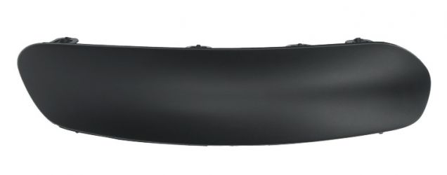 MOLDURA CITROEN C3 2005-2009 PARACHOQUES DELANTERO / DERECHA