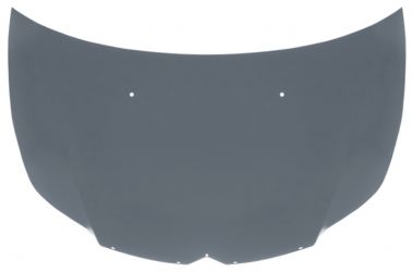 CAPO CITROEN C4 2008-2010 DELANTERO / ALUMINIO
