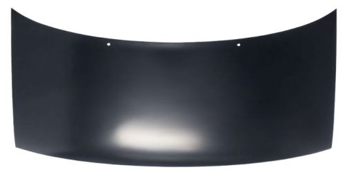 CAPO CITROEN EVASION 1994-2002 DELANTERO