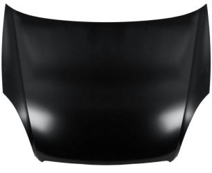 CAPO FIAT LINEA 2007-2011 DELANTERO