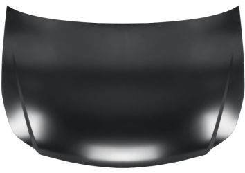 CAPO FIAT SEDICI 2006-2013 DELANTERO