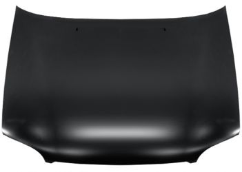 CAPO FORD ESCORT 1995-1999 DELANTERO