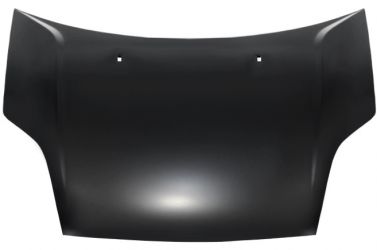 CAPO FORD FIESTA 2002-2006 DELANTERO