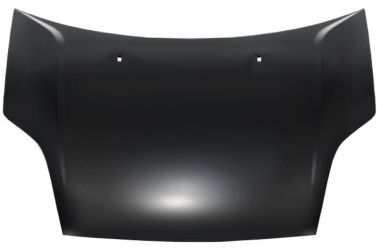 CAPO FORD FIESTA 2006-2008 DELANTERO