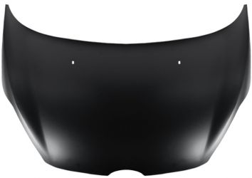 CAPO FORD FIESTA 2008-2013 DELANTERO