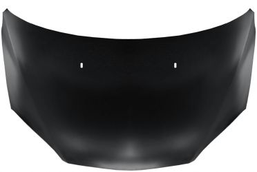 CAPO FORD FOCUS 2005-2008 DELANTERO
