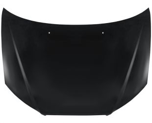 CAPO HYUNDAI ELANTRA 2007-2010 DELANTERO
