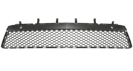 REJILLA MERCEDES CLASE E (W212) 2009-2013 PARACHOQUES DELANTERO / MODELO AMG / CENTRAL