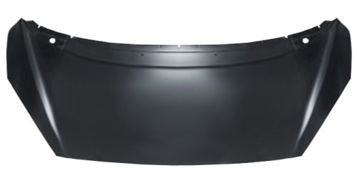 CAPO PEUGEOT 1007 2004-2010 DELANTERO