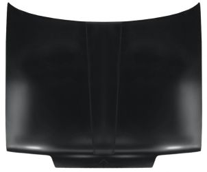 CAPO RENAULT R19 1989-1992 DELANTERO