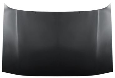 CAPO RENAULT R21 1989-1994 DELANTERO