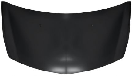 CAPO RENAULT CLIO 2005-2009 DELANTERO