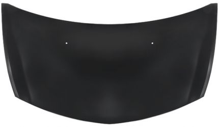 CAPO RENAULT CLIO 2009-2012 DELANTERO