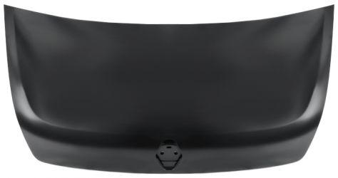 CAPO RENAULT MASTER 2010-2019 DELANTERO
