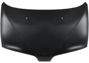 CAPO RENAULT SCENIC 1996-1999 DELANTERO