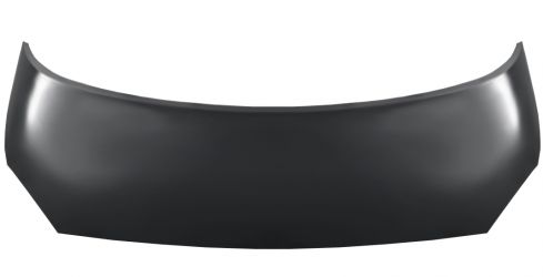 CAPO RENAULT SCENIC 2002-2006 DELANTERO