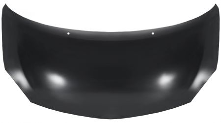 CAPO RENAULT TWINGO 2008-2012 DELANTERO