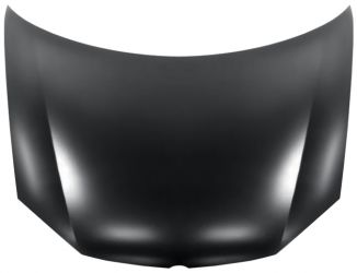 CAPO VOLKSWAGEN GOLF V 2004-2008 DELANTERO