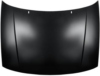 CAPO VOLKSWAGEN POLO 1995-1999 DELANTERO
