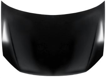 CAPO VOLKSWAGEN POLO 2005-2009 DELANTERO