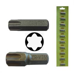 PUNTA BOCA ALLEN 8 TORX (TX) T40 CROMADA