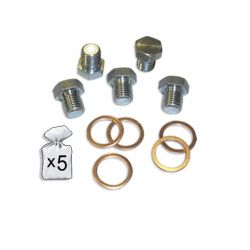 SET DE REPUESTOS REPARACIÓN CÁRTER M17X1.5P